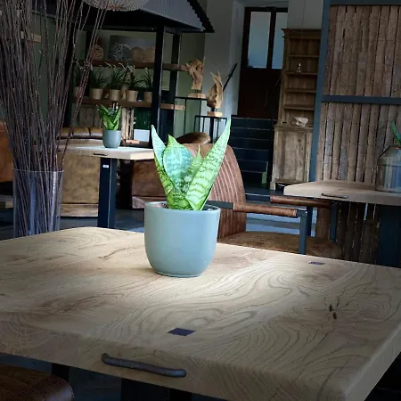 Privathotel Riesenbeck Hotel