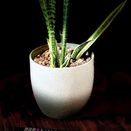 Privathotel Riesenbeck 3*