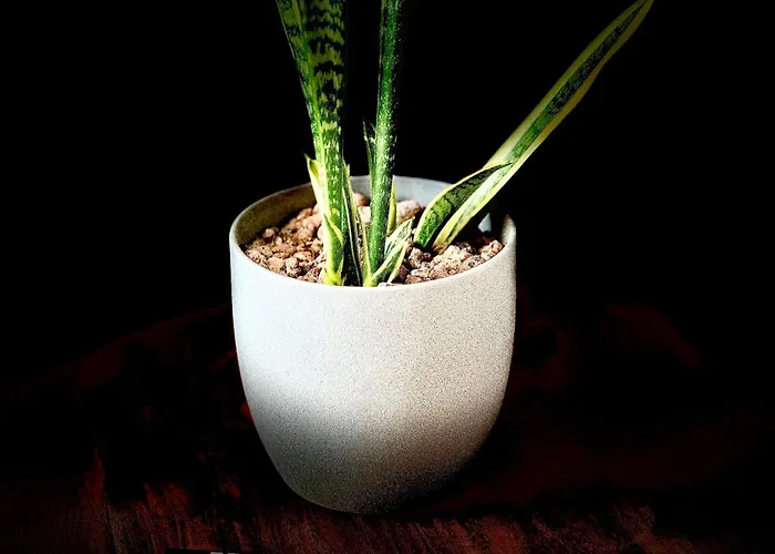 Privathotel Riesenbeck 3*